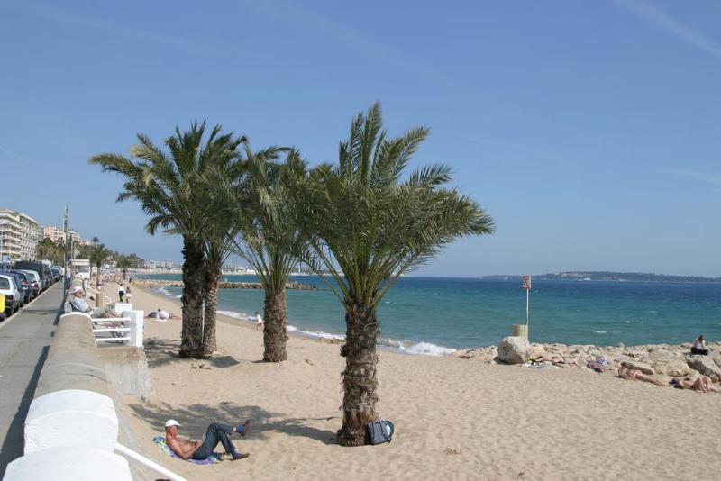 Le Vieux Port Apartments Cannes Luaran gambar